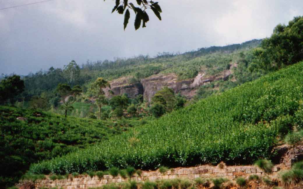 Sri Lanka - das Hochland