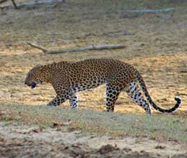 Sri Lanka - Nationalparks