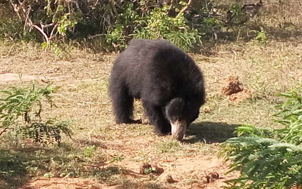 Sri Lanka - Nationalparks